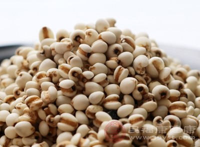 薏仁是传统的利水渗湿食材