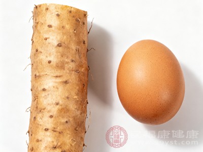 鸡蛋配山药行不行 当然行 不仅不踩雷还超养生 这样吃营养吸收更高效 鸡蛋配山药行不行 当然行 不仅不踩雷还超养生 这样吃营养吸收更高效