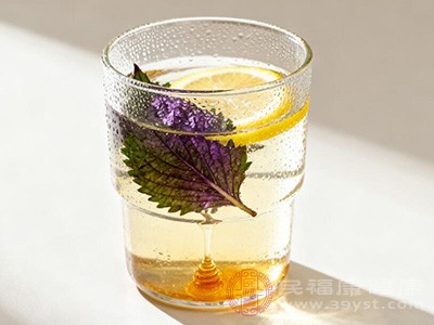 在炎热的夏日,来一杯紫苏柠檬蜂蜜水,绝对是味蕾与身心的双重享受 在炎热的夏日,来一杯紫苏柠檬蜂蜜水,绝对是味蕾与身心的双重享受