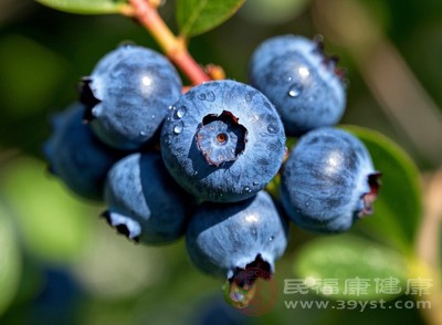 蓝莓怎么吃最养人 营养师推荐正确打开方式 吃出满满抗氧化力