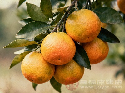 沃柑是柑橘类水果中的“新宠” 沃柑是柑橘类水果中的“新宠”