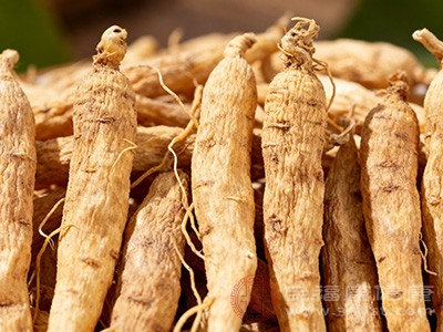 太子参乱吃=白吃吗 养生雷区快避开