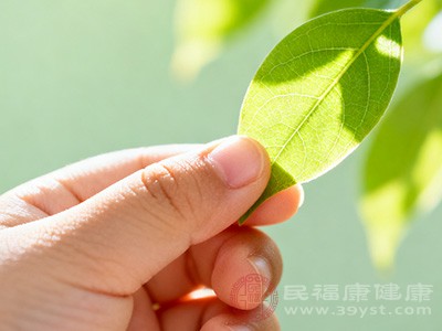 孩子手指总脱皮 这几个原因家长别忽视啦