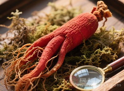 红参选对人=省钱 气血差/阳虚党速领“滋补密码”