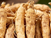 太子参乱吃=白吃吗