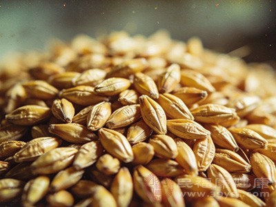 生麦芽vs炒麦芽 回奶界的"孪生兄弟"之争