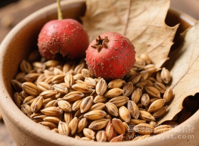 无论是使用生麦芽还是炒麦芽,回奶过程中都可能出现乳房胀痛 无论是使用生麦芽还是炒麦芽,回奶过程中都可能出现乳房胀痛