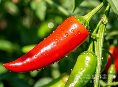 长期大量食用辣椒、花椒、羊肉等辛辣温热食物，经常熬夜、精神压力大、情绪波动剧烈等，都可能导致血热手掌的出现或加重