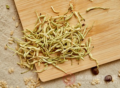 金银花泡水喝 这波操作让你喝出“清凉感”