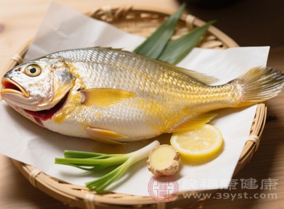 黄花鱼的营养价值 从氨基酸到微量元素的滋补密码