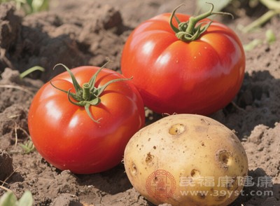 在烹饪实践中,土豆和西红柿堪称一对不错的搭档 在烹饪实践中,土豆和西红柿堪称一对不错的搭档