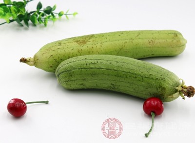 丝瓜在夏季大量上市,其性凉味甘,入肺、肝二经,能清泻肺火、平肝明目 丝瓜在夏季大量上市,其性凉味甘,入肺、肝二经,能清泻肺火、平肝明目