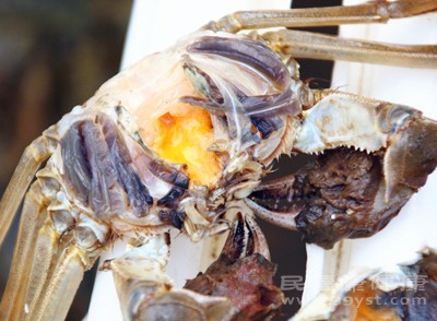 如果螃蟹意外死亡且符合食用条件,需立即将其清洗干净,去除鳃、沙包、内脏等容易滋生细菌的部位,然后用保鲜膜密封,放入冰箱冷藏,且需在6小时内烹饪食用 如果螃蟹意外死亡且符合食用条件,需立即将其清洗干净,去除鳃、沙包、内脏等容易滋生细菌的部位,然后用保鲜膜密封,放入冰箱冷藏,且需在6小时内烹饪食用