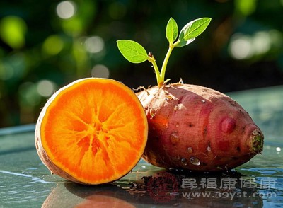 红薯虽好,但仍属于碳水化合物,过量食用同样会导致热量超标 红薯虽好,但仍属于碳水化合物,过量食用同样会导致热量超标