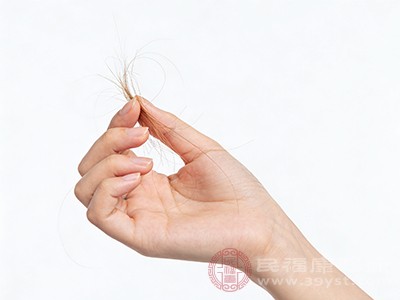 长期熬夜会让肾精持续耗损，出现大量脱发、发际线后移、头顶稀疏的情况