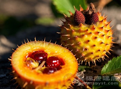 维C水果界卷王大揭秘 这几种吃一口相当于喝十瓶柠檬水