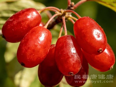 山茱萸酸涩入肝