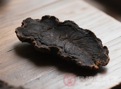 熟地虽好，却不是“百搭选手”