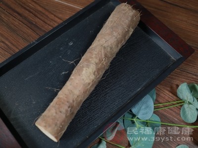 别小瞧这根山药 滋肾益精让你焕发“年轻态”