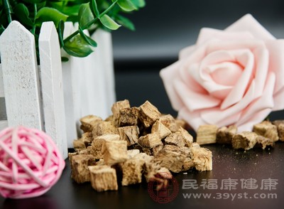 关于葛根的“小脾气” 这些禁忌你得懂