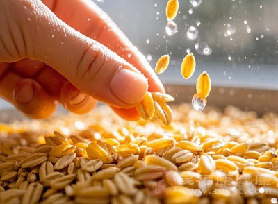 燕麦中的膳食纤维不仅能增加饱腹感，还能促进肠道蠕动，缩短食物残渣在肠道内的停留时间，帮助排出体内代谢废物和多余油脂