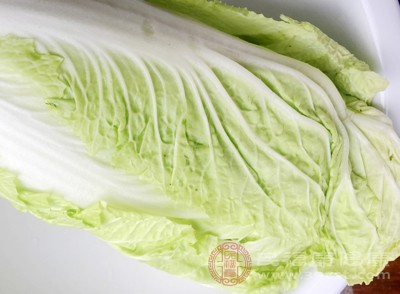 “百菜不如白菜”是真的！冬天吃对这几点，养生效果翻倍