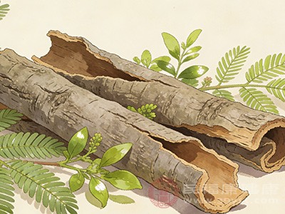 虽然合欢皮具有诸多功效，但在使用时也有一些需要注意的地方