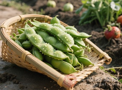 即使是消化功能良好的人群，食用蚕豆皮也需控制用量，过量食用易导致膳食纤维摄入过多，引发腹胀、产气等不适