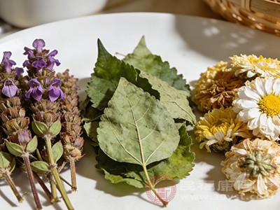 夏桑菊都能通过清热泻火的作用,帮助身体恢复平和状态 夏桑菊都能通过清热泻火的作用,帮助身体恢复平和状态