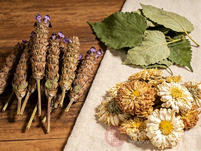 夏桑菊更是天然的“护眼神器”