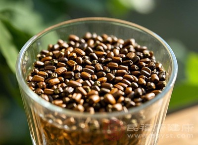 决明子的泻下作用可能影响营养素吸收，长期饮用或导致电解质失衡