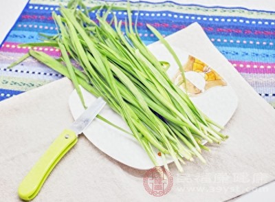韭菜的营养价值堪称“蔬菜中的全能选手”