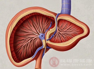 肝脏的健康，直接关系到我们的整体健康