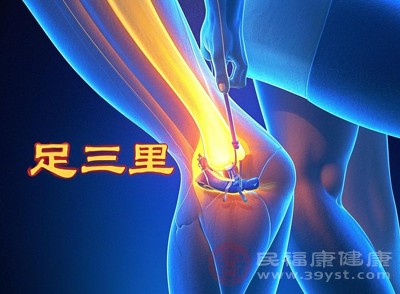 作为胃经合穴，按摩足三里最主要的功效是改善消化系统功能