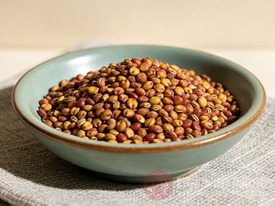 莱菔子 消食化痰的“肠道清道夫” 这些坑别踩