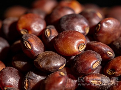 莱菔子的行气作用会削弱人参的补气功效