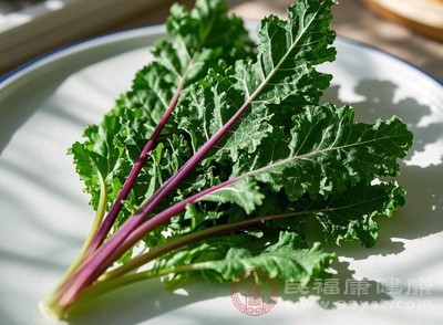 羽衣甘蓝叶片里藏着大量维生素K和抗氧化物质
