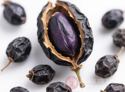 女贞子泡水一天用多少 医生说不是个数是这个克数