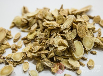 黄芪就像身体的"防风墙",能把外泄的卫气牢牢锁住 黄芪就像身体的"防风墙",能把外泄的卫气牢牢锁住