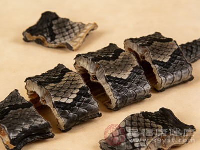 乌蛇的隐藏技能 赶走风邪让身体松快起来