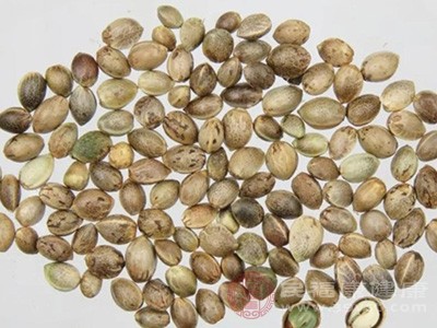 别只知道开塞露 火麻仁让肠道更舒服