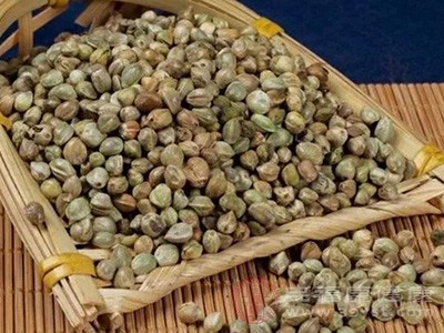 火麻仁虽非峻补之品，却蕴含丰富的营养能量