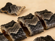 乌蛇的隐藏技能