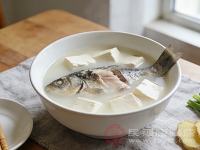 豆腐炖鱼汤（豆腐100g+鲫鱼1条）