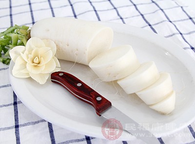 白萝卜提取物可使肠道推进速度提高25%