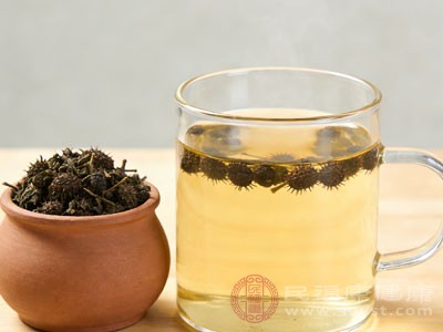 刺五加泡茶水喝 这杯植物黄金喝对了才养生