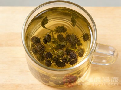 阴虚火旺者需谨慎使用刺五加