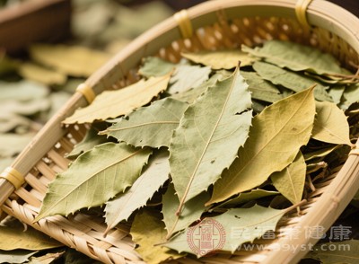 长期服用番泻叶会导致肠黏膜黑变病 长期服用番泻叶会导致肠黏膜黑变病