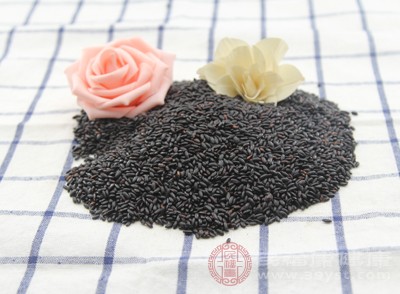 黑米富含膳食纤维