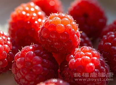 树莓、黑莓等浆果的膳食纤维也很丰富，还能增加饱腹感，对体重管理也有一定帮助